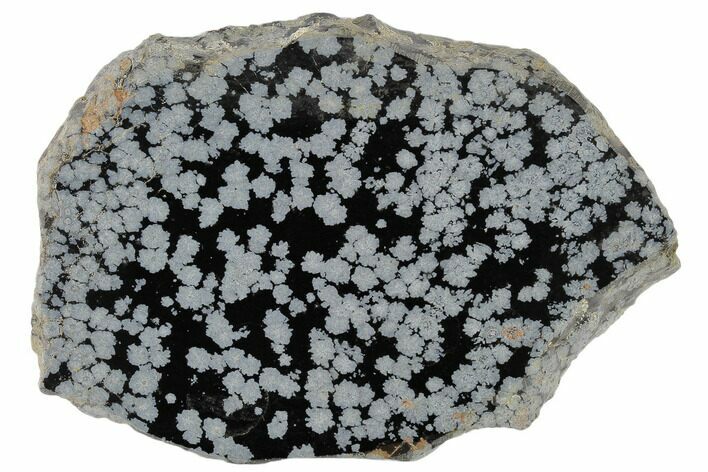 Polished Snowflake Obsidian Section - Utah #117785